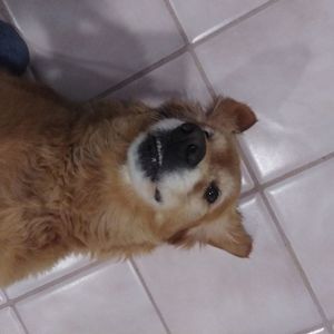 Meet your Posher, Jackie